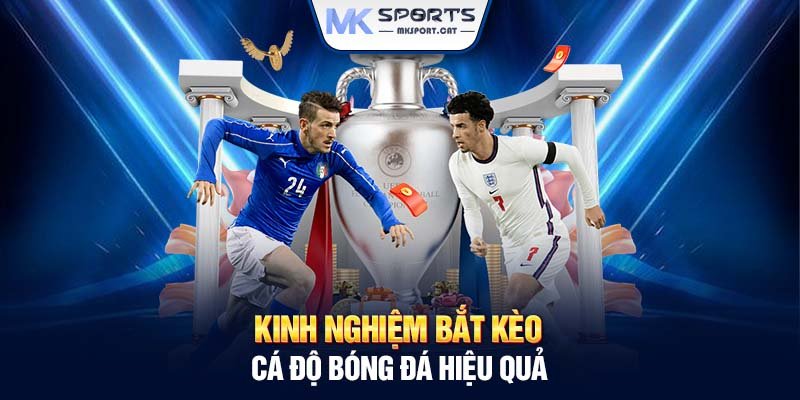 Kinh nghiệm bắt kèo cá độ bóng đá hiệu quả