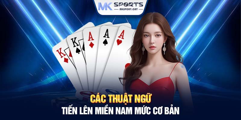 Các thuật ngữ tiến lên miền Nam mức cơ bản