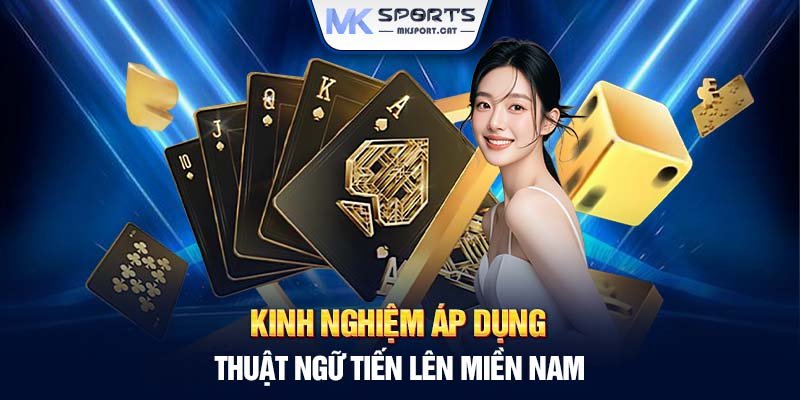 Kinh nghiệm áp dụng thuật ngữ tiến lên miền Nam